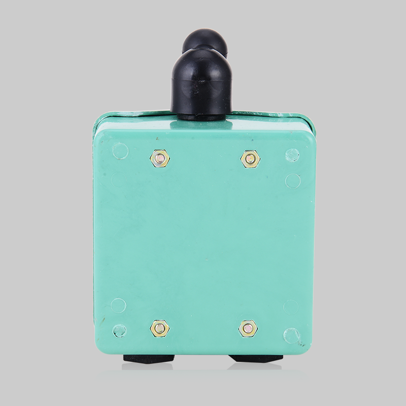 DB真人电器QS型系列倒顺开关 