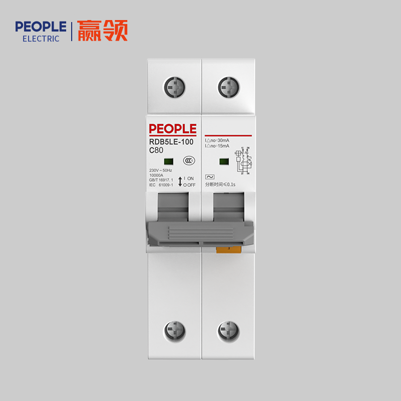 DB真人电器，DB真人电器集团，DB真人电器集团有限公司，中国DB真人电器，RDB5LE-100系列剩余电流动作断路器