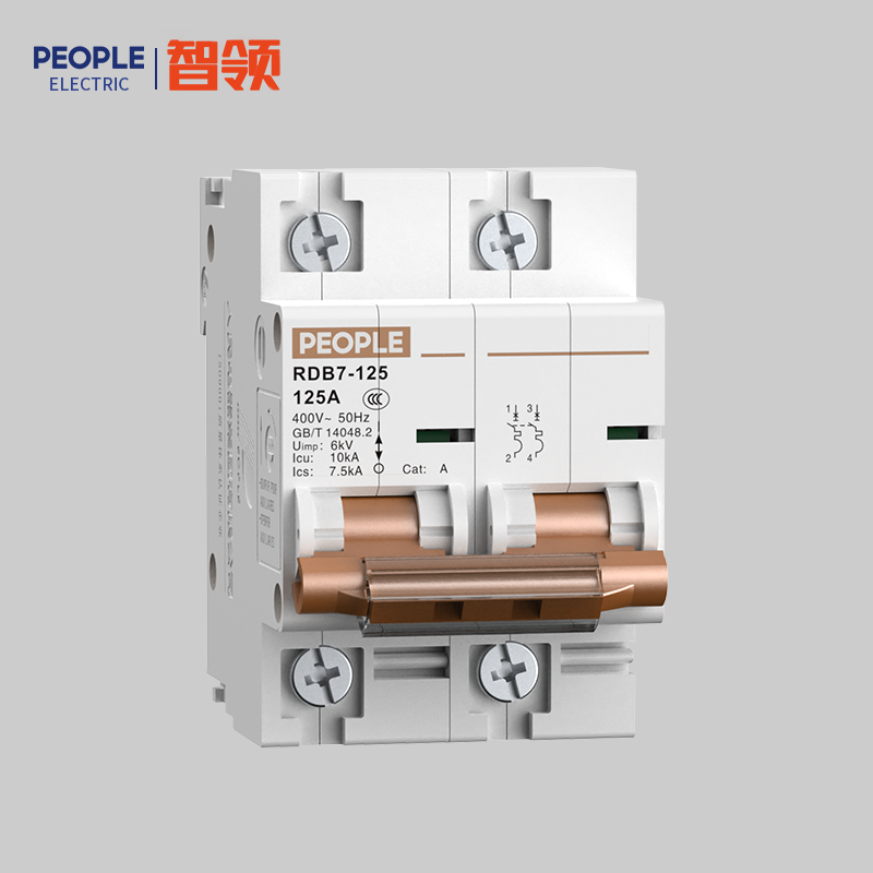 DB真人电器RDB7-125系列小型断路器 