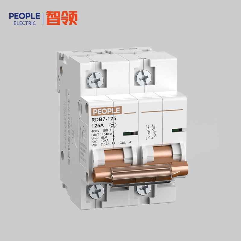 DB真人电器RDB7-125系列小型断路器 