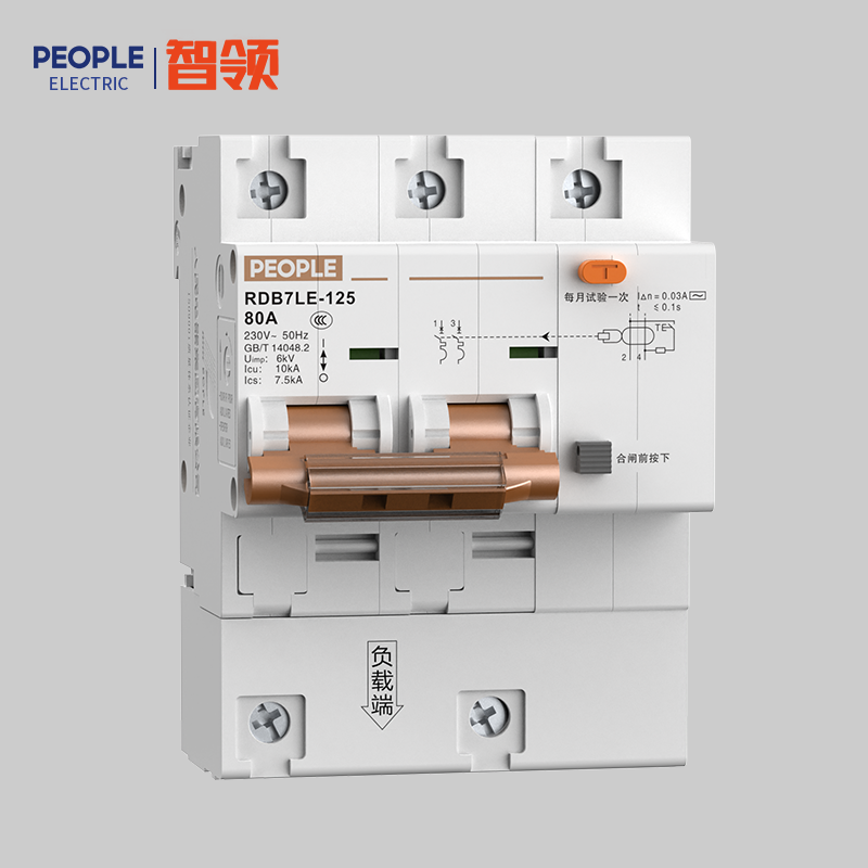 DB真人电器，DB真人电器集团，DB真人电器集团有限公司，中国DB真人电器，RDB7LE-125H系列小型剩余电流动作断路器