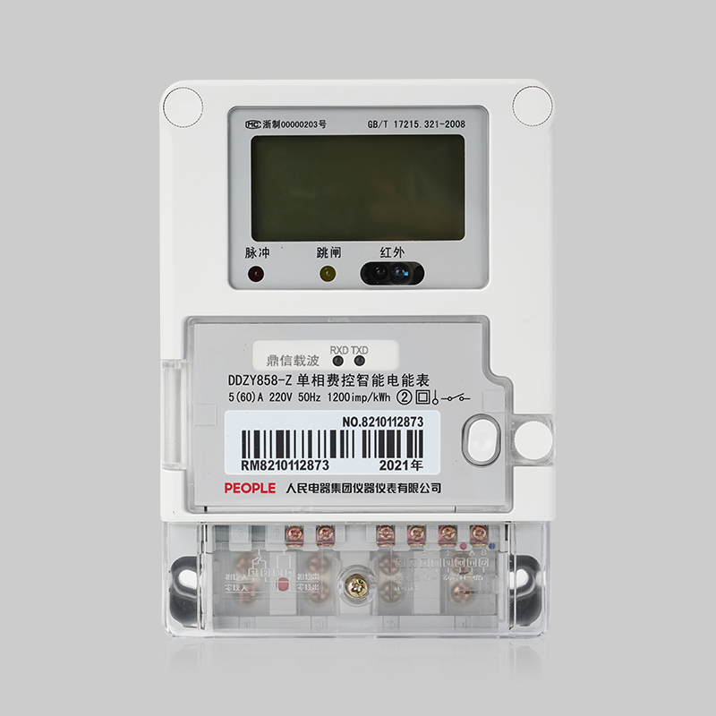 DB真人电器，DB真人电器集团，DB真人电器集团有限公司，中国DB真人电器，DDZY858-Z/DDZY858-G/-国单相远程费控智能电能表
