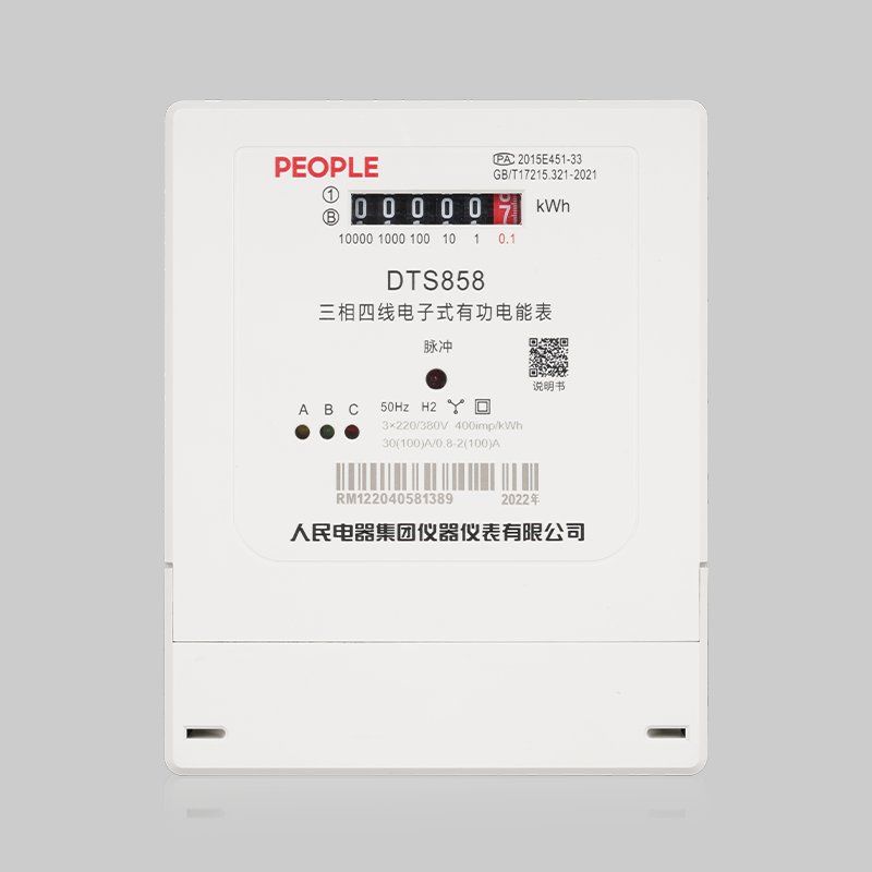 DB真人电器，DB真人电器集团，DB真人电器集团有限公司，中国DB真人电器，DTS858-D/DSS858-D型三相电子式电能表