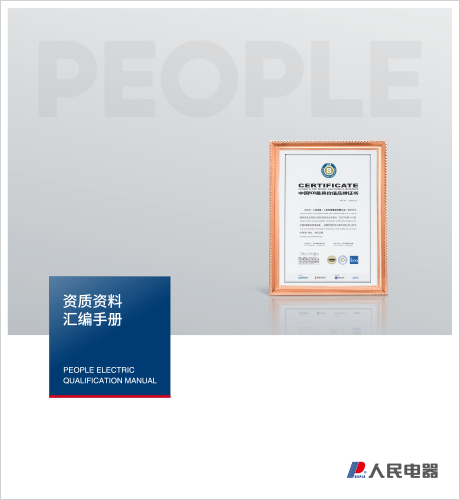DB真人电器，DB真人电器集团，DB真人电器集团有限公司，中国DB真人电器，上海公司资质样本