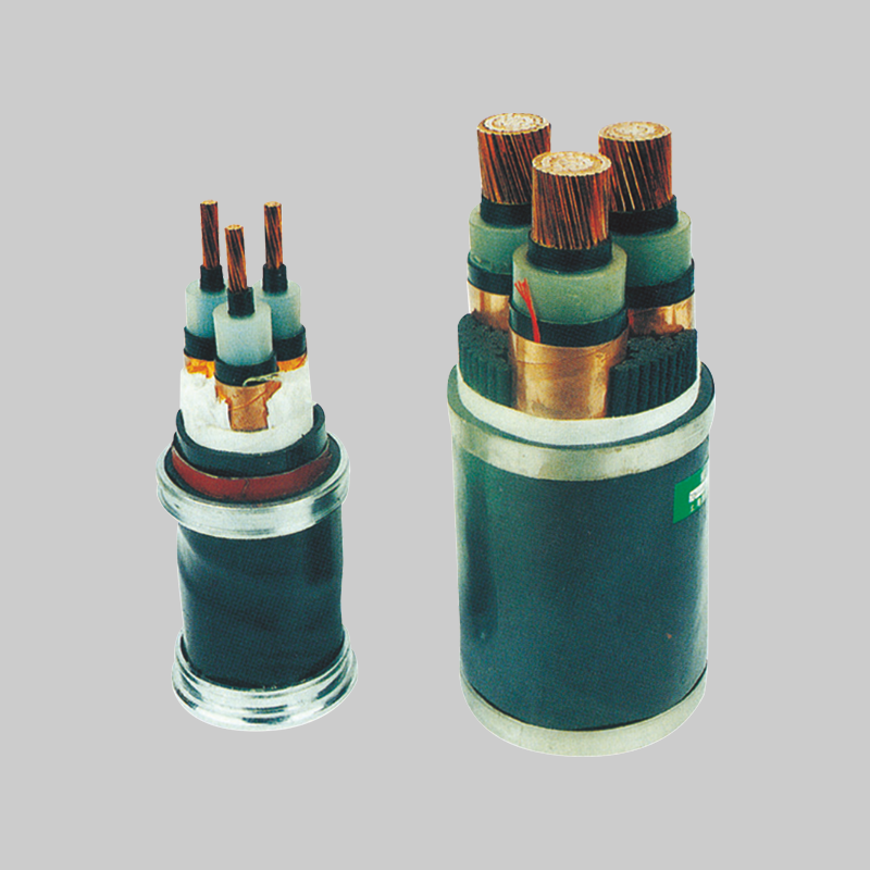 DB真人电器，DB真人电器集团，DB真人电器集团有限公司，中国DB真人电器，6/6kV(6/10kV) 交联聚乙烯绝缘电力电缆